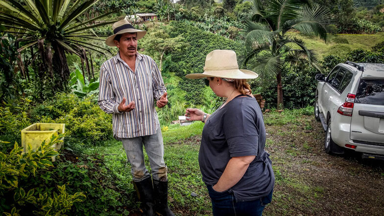 tourist picking coffee during coffee region tour from medellin
