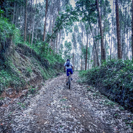 Mountaing biker in the forests during kite camp lake calima