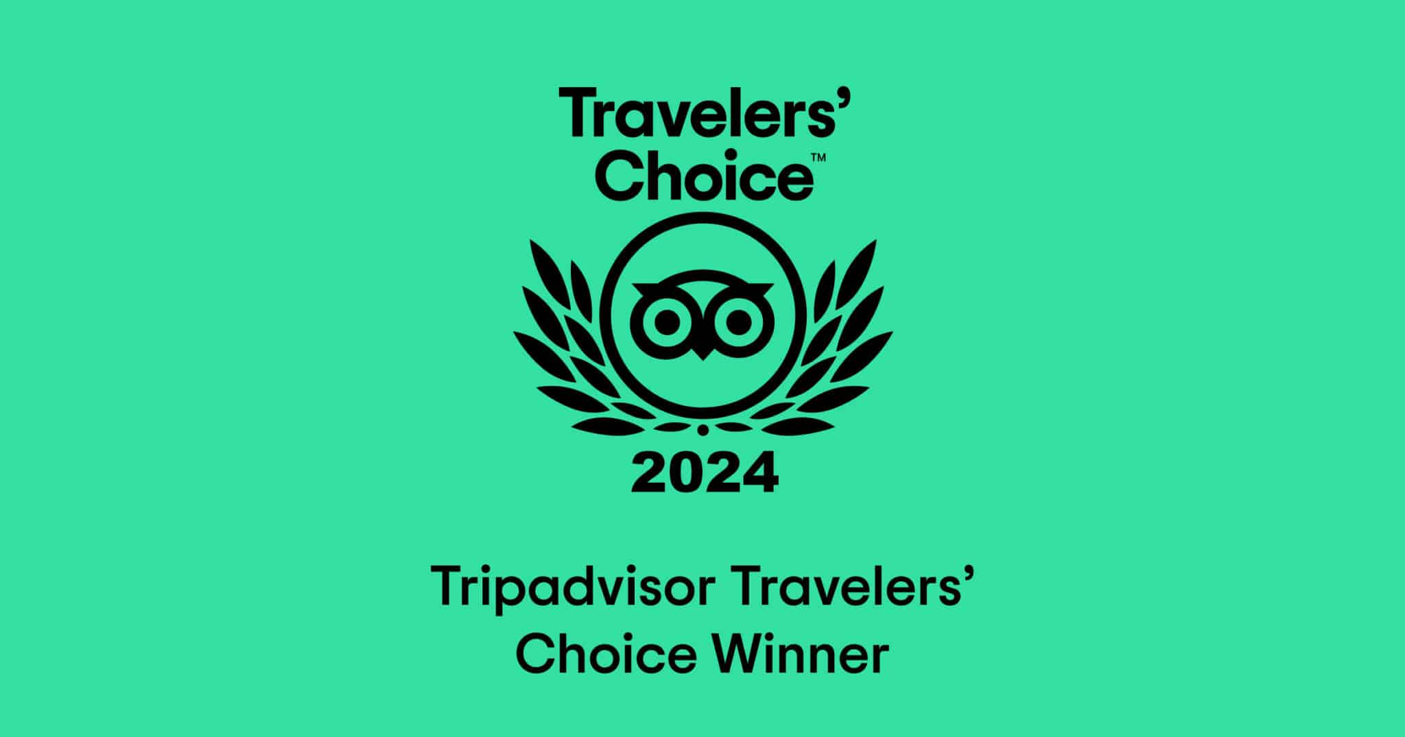 TripAdvisor Traveler Award 2023