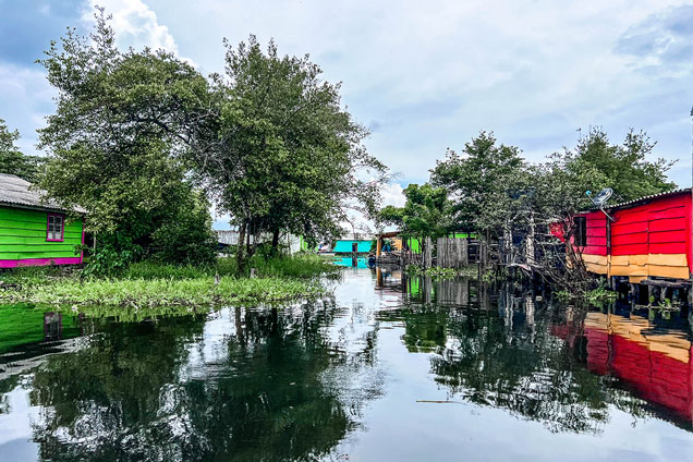 House on stilts in the marshes Nueva Venecia Colombia