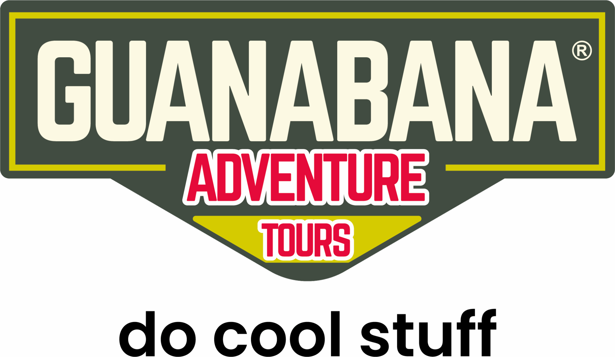 Logo GUANABANA Do Cool Stuff black